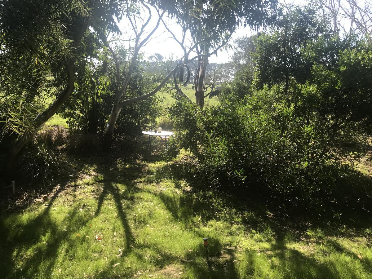 The Nature